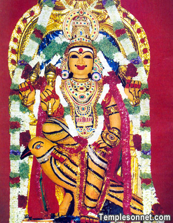 All Pujas